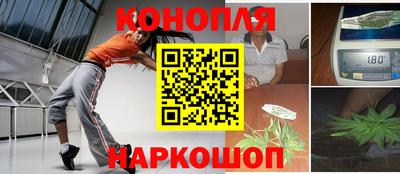 гидропоника Будённовск