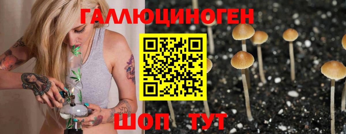 Королёв  Псилоцибиновые грибы ЛСД  Вход с VPN 